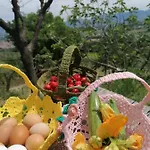 Feriegård Etico Le Grazie