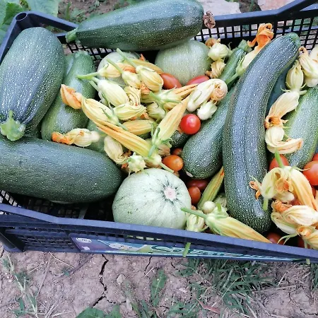 Lantgård Etico Le Grazie *