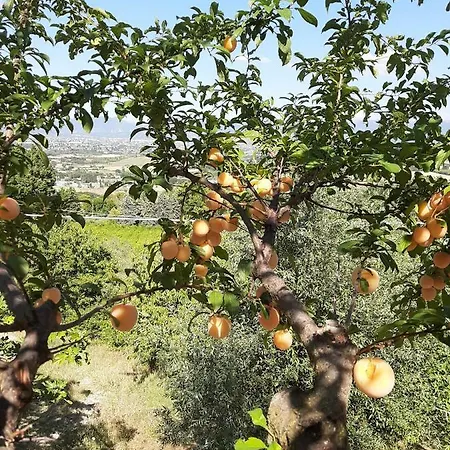مزرعة للإقامة Etico Le Grazie بيفانيا